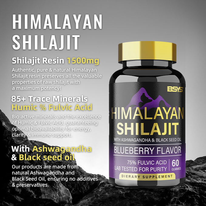 BSYS SHILAJIT GUMMIES 60'S