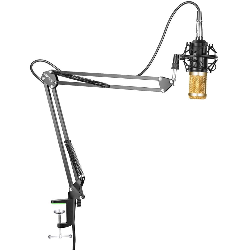 Extendable Recording Microphone Arm Stand